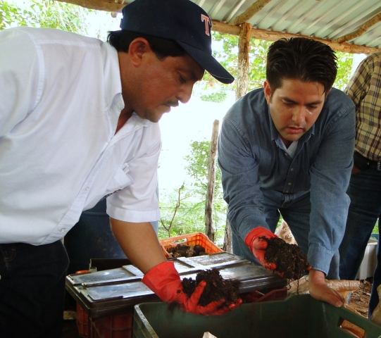 Juan_Martn_Cruz_Campos_ensea_cultivos_de_lombrices_a_Pedro_Cabrera_Quijano_presidente_de_Fundacin_Produce_Yucatn_A.C.1